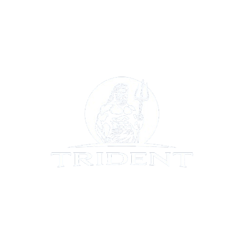 tridentwebworks